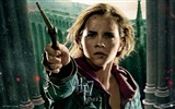 2011 Harry Potter und die Heiligtümer des Todes HD Wallpaper #23