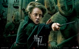 2011 Harry Potter and the Deathly Hallows HD wallpapers #24