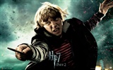2011 Harry Potter und die Heiligtümer des Todes HD Wallpaper #26