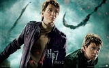 2011 Harry Potter and the Deathly Hallows HD wallpapers #28
