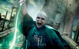 2011 Harry Potter und die Heiligtümer des Todes HD Wallpaper #30