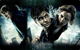2011 Harry Potter und die Heiligtümer des Todes HD Wallpaper #31