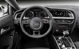 Audi A5 Coupe - 2011 HD tapety na plochu #15