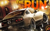 Need for Speed​​: The Run 極品飛車16：亡命狂飆高清壁紙