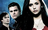 The Vampire Diaries HD fondos de pantalla #7
