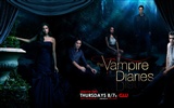 The Vampire Diaries HD fondos de pantalla #18