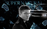 Supernatural HD tapety na plochu #13