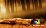 Windows 8 主題壁紙 (一) #8