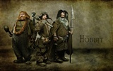 The Hobbit: An Unexpected Journey 霍比特人：意外旅程5
