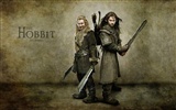 The Hobbit: An Unexpected Journey 霍比特人：意外旅程8