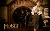 The Hobbit: An Unexpected Journey 霍比特人：意外旅程11