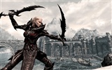 The Elder Scrolls V: Skyrim HD Tapety na plochu #14