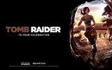 Tomb Raider 15-летнего Празднование HD обои #8