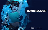 Tomb Raider 15 años de celebración de fondos de pantalla HD #9
