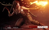 Tomb Raider 15 años de celebración de fondos de pantalla HD #11