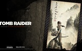 Tomb Raider 15-Year Celebration 古墓丽影15周年纪念版 高清壁纸14
