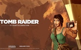 Tomb Raider 15-Year Celebration 古墓麗影15週年紀念版高清壁紙 #15