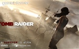 Tomb Raider 9 fonds d'écran HD #7