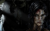 Tomb Raider 9 fonds d'écran HD #12