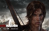 Tomb Raider 9 fonds d'écran HD #14