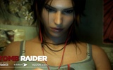 Tomb Raider 9 fonds d'écran HD #15