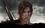 Tomb Raider 9 fonds d'écran HD #16