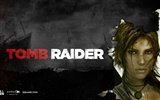 Tomb Raider 9 fonds d'écran HD #18