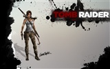 Tomb Raider 9 fonds d'écran HD #19