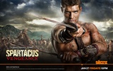 Spartacus: Vengeance fonds d'écran HD