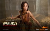 Spartacus: Vengeance fonds d'écran HD #5