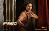 Spartacus: Vengeance 斯巴达克斯：复仇 高清壁纸7