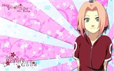 Naruto anime HD tapety na plochu #36