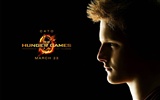 The Hunger Games HD wallpapers #3