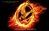 The Hunger Games HD wallpapers #13