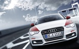 2012 Audi S5 HD tapety na plochu #3