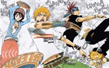 BLEACH HD anime wallpapers