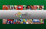 UEFA EURO 2012 fondos de pantalla de alta definición (1) #10