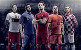 UEFA EURO 2012 HD Tapety na plochu (1) #13