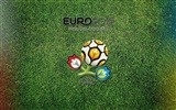 UEFA EURO 2012 欧洲足球锦标赛 高清壁纸(一)15