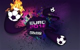 UEFA EURO 2012 fonds d'écran HD (1) #17