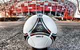 UEFA EURO 2012 HD Tapety na plochu (1) #18
