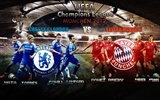 UEFA EURO 2012 fondos de pantalla de alta definición (2) #6
