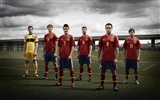 UEFA EURO 2012 fondos de pantalla de alta definición (2) #8