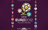 UEFA EURO 2012 欧洲足球锦标赛 高清壁纸(二)