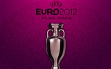 UEFA EURO 2012 fondos de pantalla de alta definición (2) #16