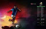 UEFA EURO 2012 fondos de pantalla de alta definición (2) #18