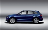 2013 Audi TDI SQ5 fondos de pantalla de alta definición #5