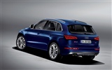 2013 Audi TDI SQ5 fondos de pantalla de alta definición #7