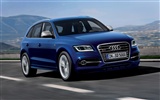 2013 Audi TDI SQ5 fondos de pantalla de alta definición #8