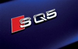 2013 Audi TDI SQ5 fondos de pantalla de alta definición #13